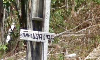 Imagem 5: Lote Grande 100 x 1.000