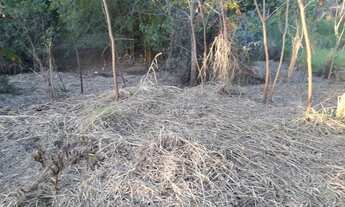 Imagem: Chácara 1064m2