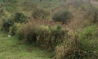 Imagem 4: Vendo terreno na frente do depósito do exército da geral da br em Morretes tijucas