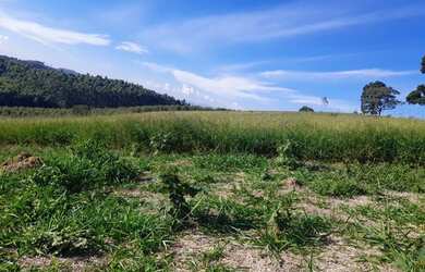 Imagem 6: Vendo meu terreno em Nazaré Paulista