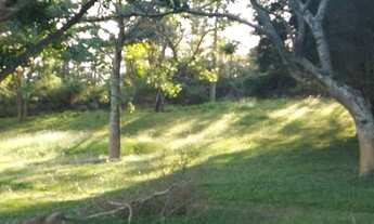 Imagem 2: Invista com lotes imperdíveis