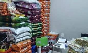 Imagem 2: Ponto de loja de agropecuária e pet montada e um vasto estoque de mercadorias à venda, QND