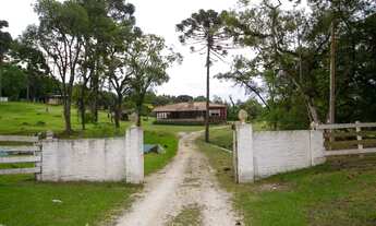 Imagem 4: Chácara em Colombo - ARYA 1