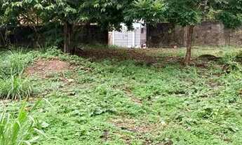 Imagem 7: Terreno Parque 10 de novembro