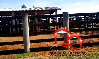 Imagem 2: Fazenda 127 Alqueires Região De Santa Rita Do Pardo/MS