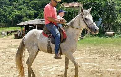 Imagem 4: Vende linda chacara próxima a ipatonga