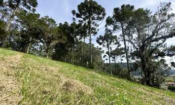 Imagem 7: TERRENO NO CAMINHO PARA O MORRO DA IGREJA IDEAL PARA INVESTIMENTO!