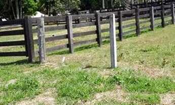 Imagem: COLÔNIA COM 50 HECTARES - BR 364 SENTIDO