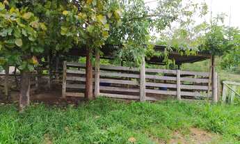 Imagem 5: Chácara em varjao