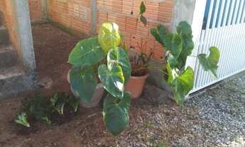 Imagem 6: Locação Casa Casa com 2 dormitórios