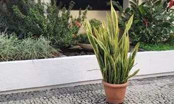 Imagem 2: Apartamento para aluguel possui 184 metros quadrados com 3 quartos em Icaraí - Niterói - R