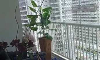 Imagem 2: São Paulo - Apartamento Padrão - Tatuapé