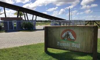 Imagem: ! Fazenda Real