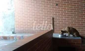 Imagem 5: São Paulo - Casa Padrão - Vila Prudente