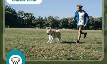 Imagem 5: A05- venha construir sua chácara na linda cidade de Atibaia, Últimas unidades!