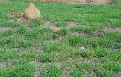 Imagem 6: Terreno vendo Terreno / lote com venda por R$360.000