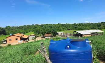 Imagem 2: Sítio 8,5 Alqueires c/ 21 piquetes e mais 9 divisões pasto - 12 KM Mutunópolis GO
