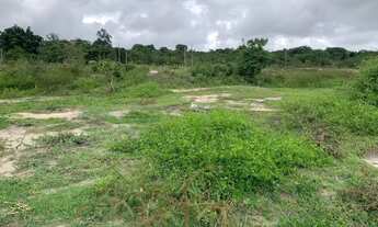 Imagem 3: Chácara 2500m², Córrego (Permanente), Energia, Terra Mista, Entre Guapó e Aragoiânia