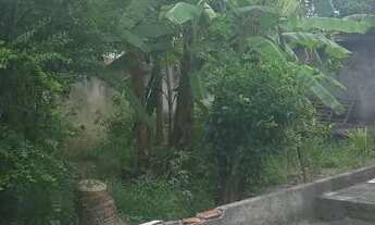 Imagem 5: Casa com amplo quintal