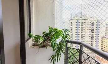 Imagem 4: Apartamento para Aluguel - Vila Pompéia, 3 Quartos, 104 m2