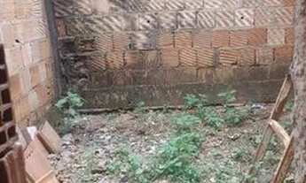 Imagem 3: Vendo quitinete Casa com 3 dormitórios