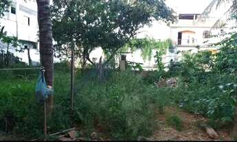 Imagem 6: Casa térreo a venda