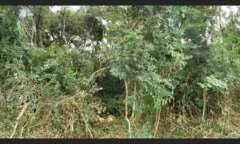 Imagem 2: Chácara 1038 M2 com Rio do Salto ao fundo - 20x50 / Água e Luz