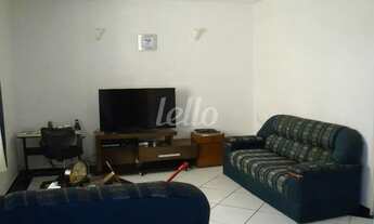 Imagem 2: São Paulo - Casa Padrão - Vila Mariana