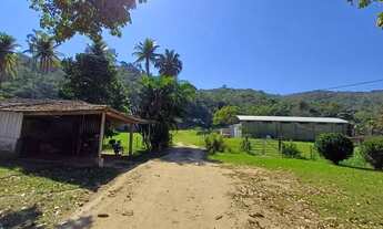 Imagem 7: Fazenda Com 97.000 M² Cpo Grande