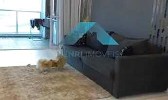 Imagem 5: Apartamento para aluguel e venda possui 63 metros quadrados com 2 quartos