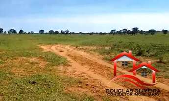 Imagem 7: Fazenda 127 Alqueires Região De Santa Rita Do Pardo/MS