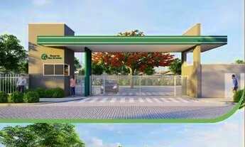 Imagem 4: Reserva das árvores