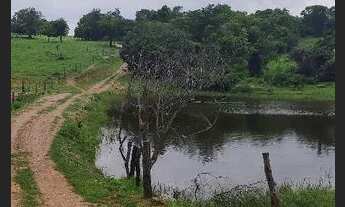 Imagem 6: Fazenda em Goiás velho