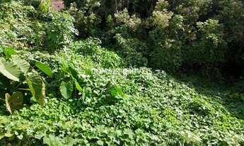 Imagem 2: Exclusiva Área de Terreno na Região de Capivari - Campos do Jordão/SP