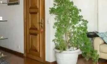 Imagem 1: Apartamento com 3 dormitórios à venda, 129 m² por R$ 1.000.000 - Mooca - São Paulo/SP