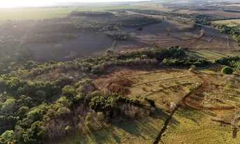 Imagem 7: Fazenda para venda tem 28 Alqueires com 3 quartos na Região do Panamá- GO
