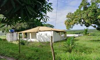 Imagem 6: Lt; Fazenda São João Evangelista