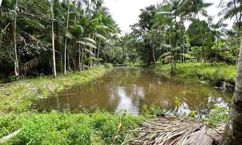 Imagem 7: Sítio a venda Chácara com venda por R$120.000