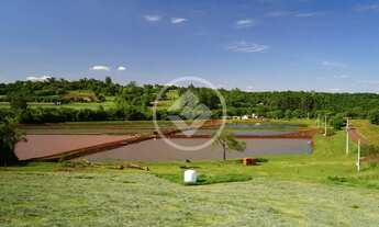 Imagem 13: Chácara Completa e Produtiva 7,2 Alqueires com 9 Açudes de Tilápias e Potencial para Lote