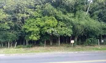 Imagem 5: TERRENO NO BAIRRO CRUZEIRO- CAXIAS DO SUL