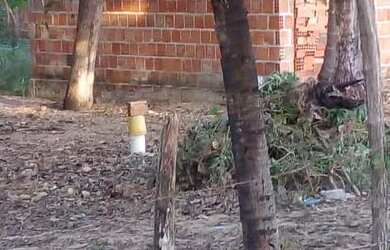 Imagem 2: Vendo terreno Itapipoca na praia da Baleia