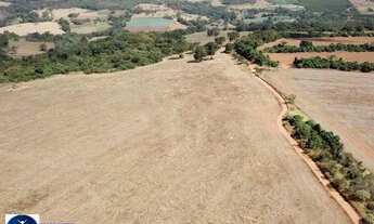 Imagem: Terra à Venda em Silvânia/GO - 75 hectares