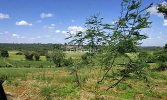Imagem 7: Fazenda / Sítio / Chácara à venda Rodovia TF-10, Passo Fundo - Triunfo