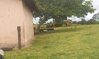 Imagem 6: Fazenda de 290 Hectares em AcorizalMT