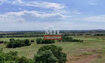 Imagem 5: Fazenda 450 alqueires (2.178 hectares) Crixás - Go