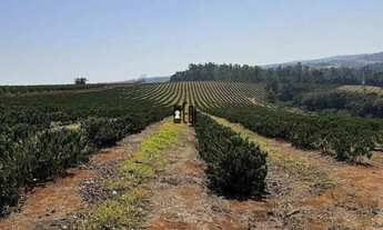 Imagem 5: Imóvel para venda tem 151000000 metros quadrados com 1 quarto