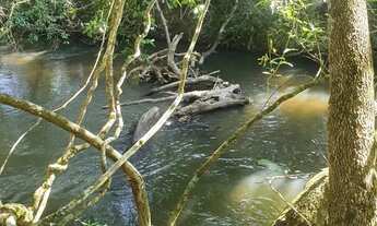 Imagem 5: PLANALTINA-PROX AO VALE DO AMANHECER-2,8HA-AGUA CORRENTE-MARGEADA PELO RIO SÃO BARTOLOMEU