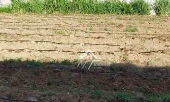 Imagem 2: Terreno à venda, 2300 m² por R$ 900.000 - Chácara Cruzeiro do Sul - Sumaré/SP