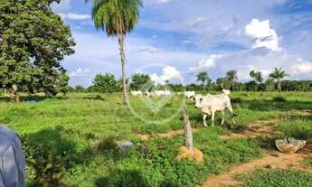 Imagem: FAZENDA NO DISTRITO DE CANGAS EM POCONÉ