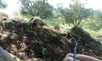 Imagem 4: TERRENO 150M² (5x30) em SÃO BENEDITO, CAJAMAR/SP